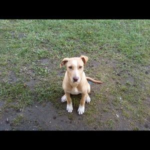 Meet your Posher, Austin